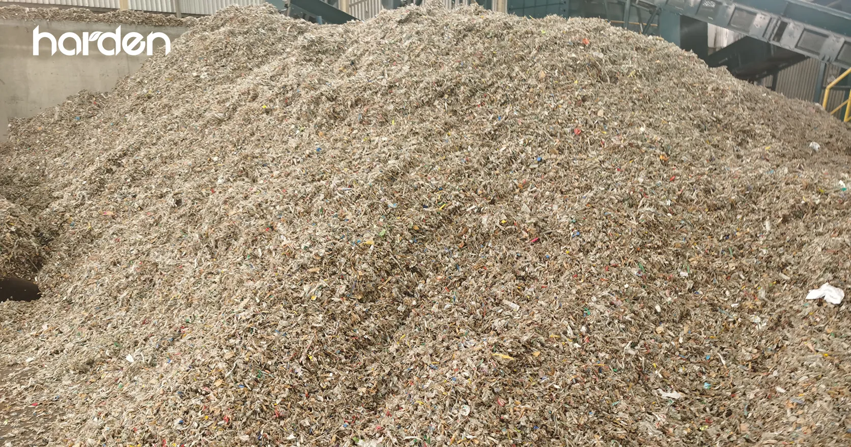 zhichanggufei-092002.jpg